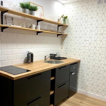 Apartment W Samym Sercu Miasta Z Darmowym Parkingiem Pod Zlotym Lwem -hotel Vi Klodzko