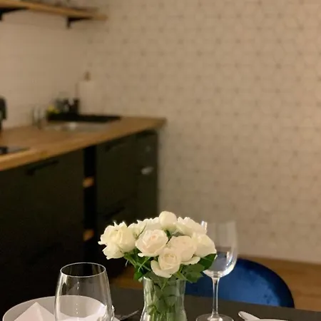 Przestronny ,Pietrowy Apartment W Centrum Klodzka Z Darmowym Parkingiem *