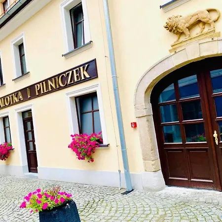 W Samym Sercu Miasta Z Darmowym Parkingiem Pod Zlotym Lwem -hotel Vi דירה *