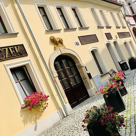 W Samym Sercu Miasta Z Darmowym Parkingiem Pod Zlotym Lwem -hotel 6 Appartamento