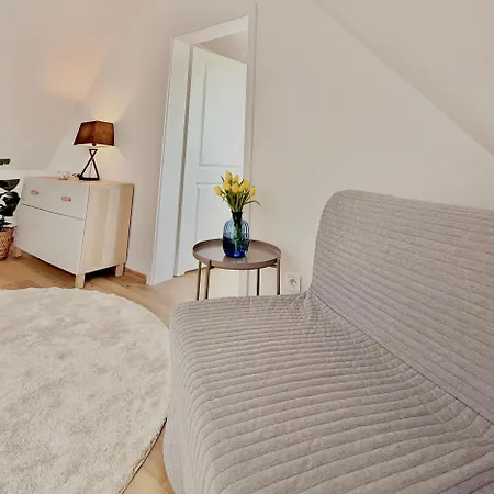 W Samym Sercu Miasta Z Darmowym Parkingiem Pod Zlotym Lwem -hotel Vi Apartment