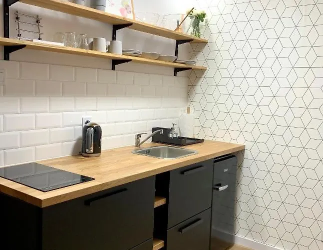 Lejlighed W Samym Sercu Miasta Z Darmowym Parkingiem Pod Zlotym Lwem -hotel Vi Kłodzko