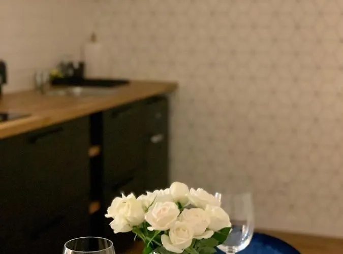 W Samym Sercu Miasta Z Darmowym Parkingiem Pod Zlotym Lwem -hotel Vi *