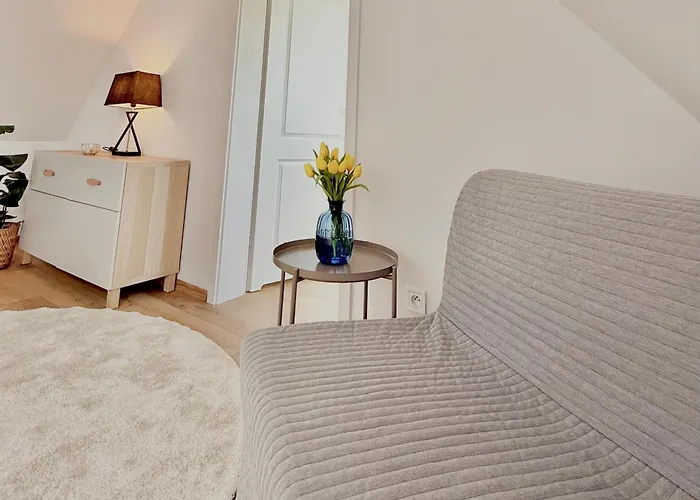 W Samym Sercu Miasta Z Darmowym Parkingiem Pod Zlotym Lwem -hotel Vi Apartment